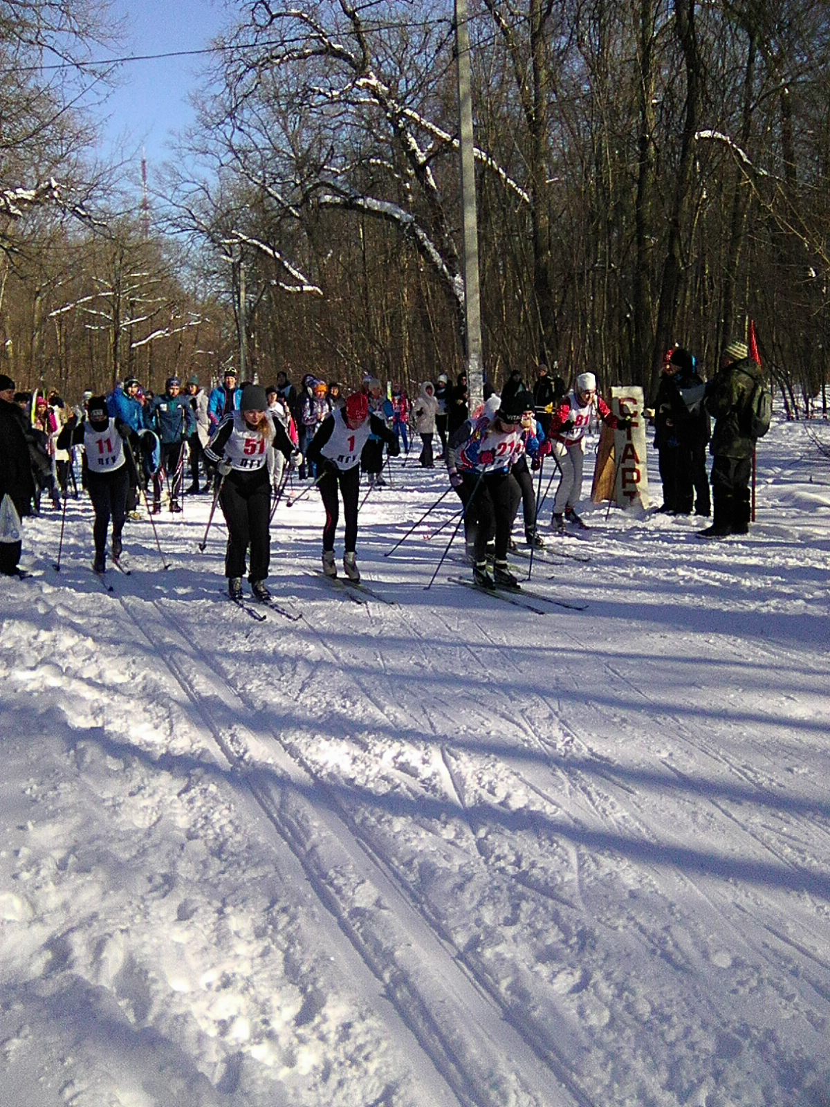 Лыжная эстафета